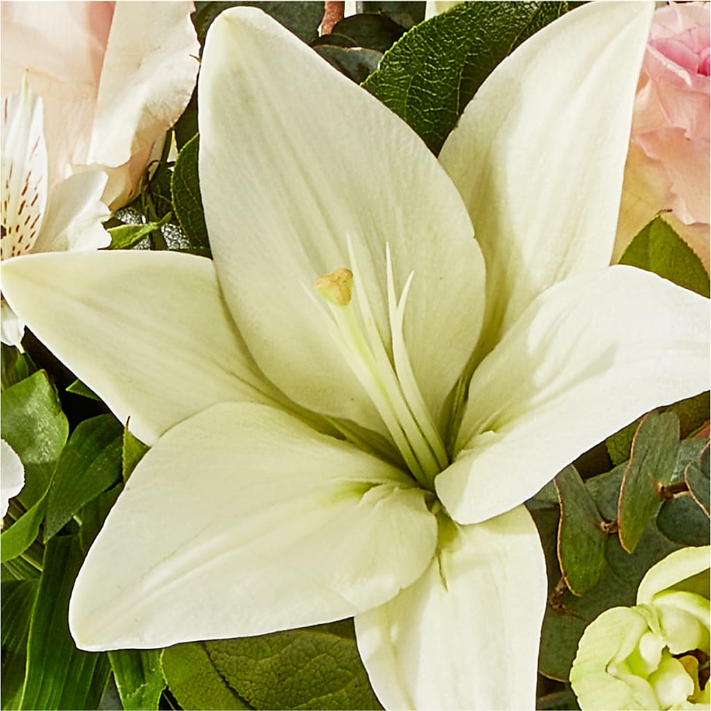 Ballet Slippers Bouquet –  Village Florist, Richmond KY