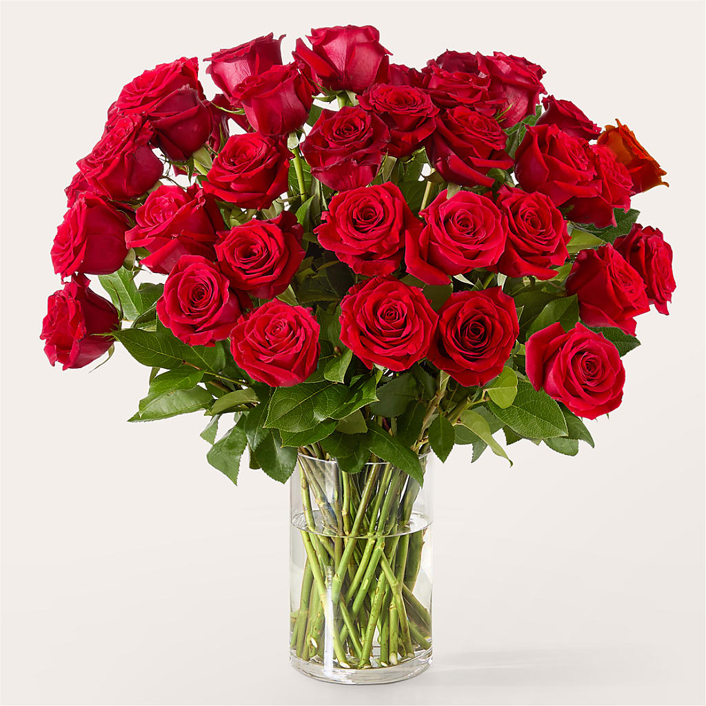 The One Red Rose Bouquet –  Village Florist, Richmond KY