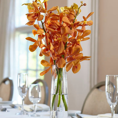 Orange Mokara Bud Vase –  Village Florist, Richmond KY