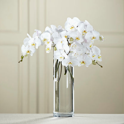 White Phalaenopsis Bouquet –  Village Florist, Richmond KY